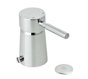 Single lever bidet mixer with diverter